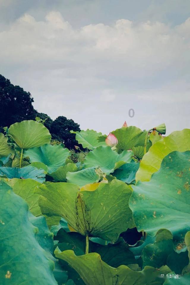 雷竞技比分